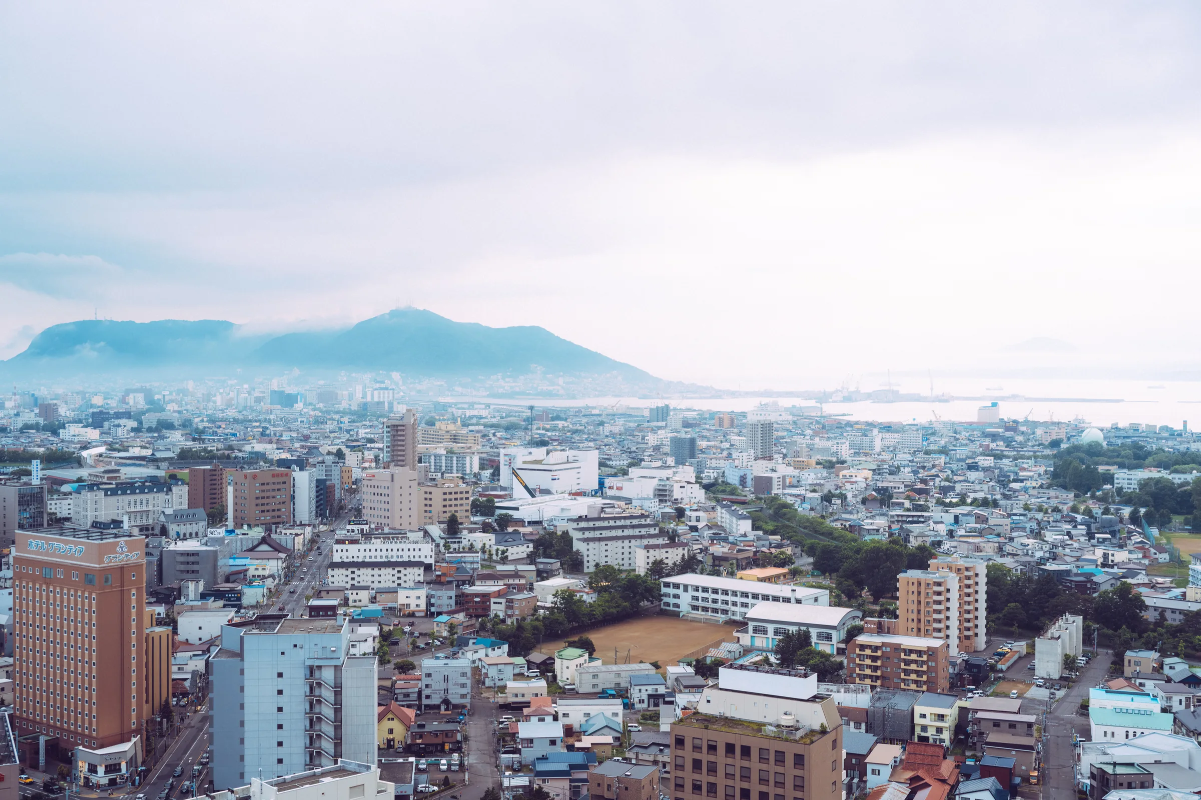 Hakodate seen from Goryokaku Tower, with Mount Hakodate and the harbor beneath a pale sky
