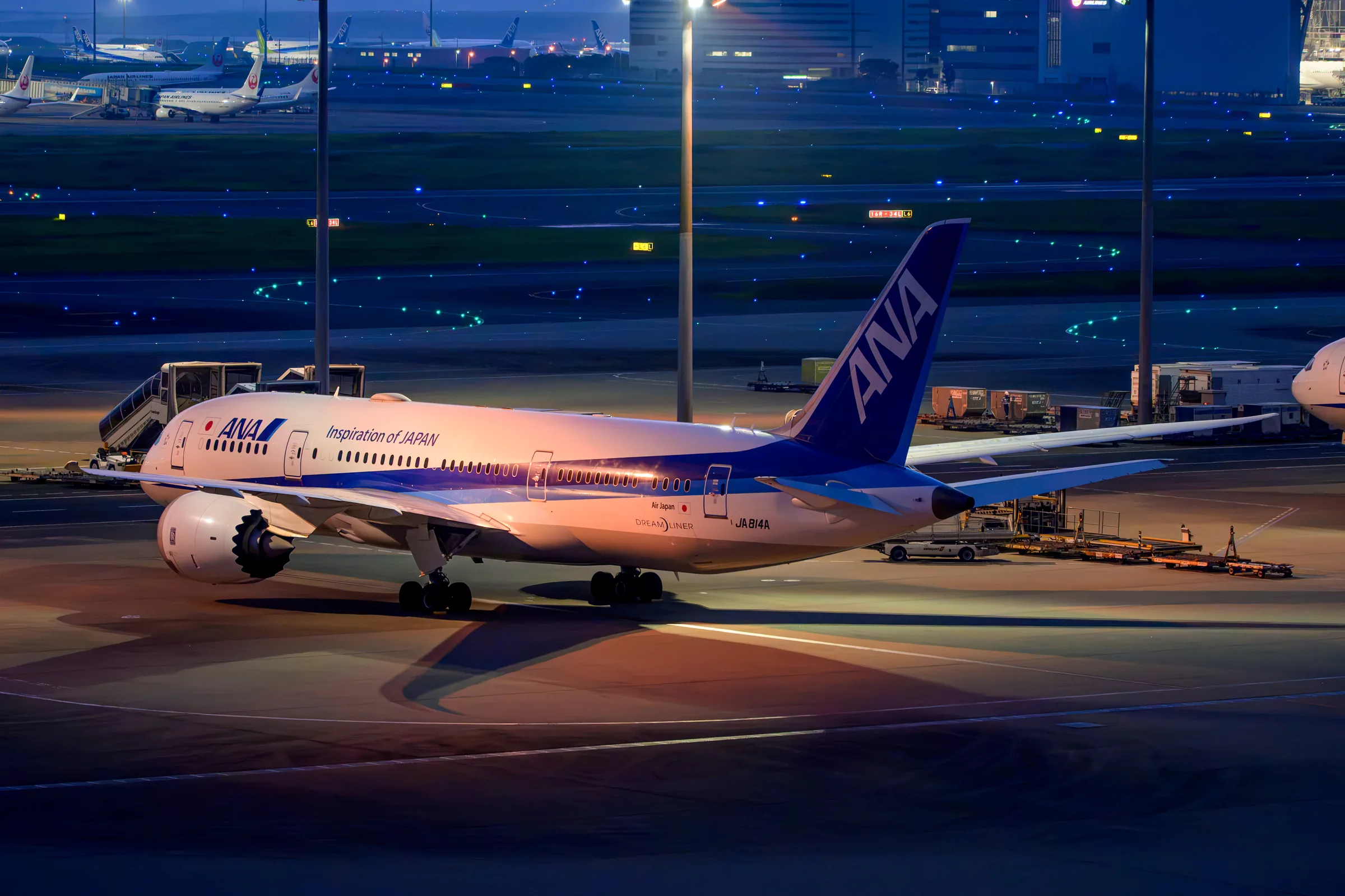 An ANA aircraft held in warm ramp light against the blue airport before dawn