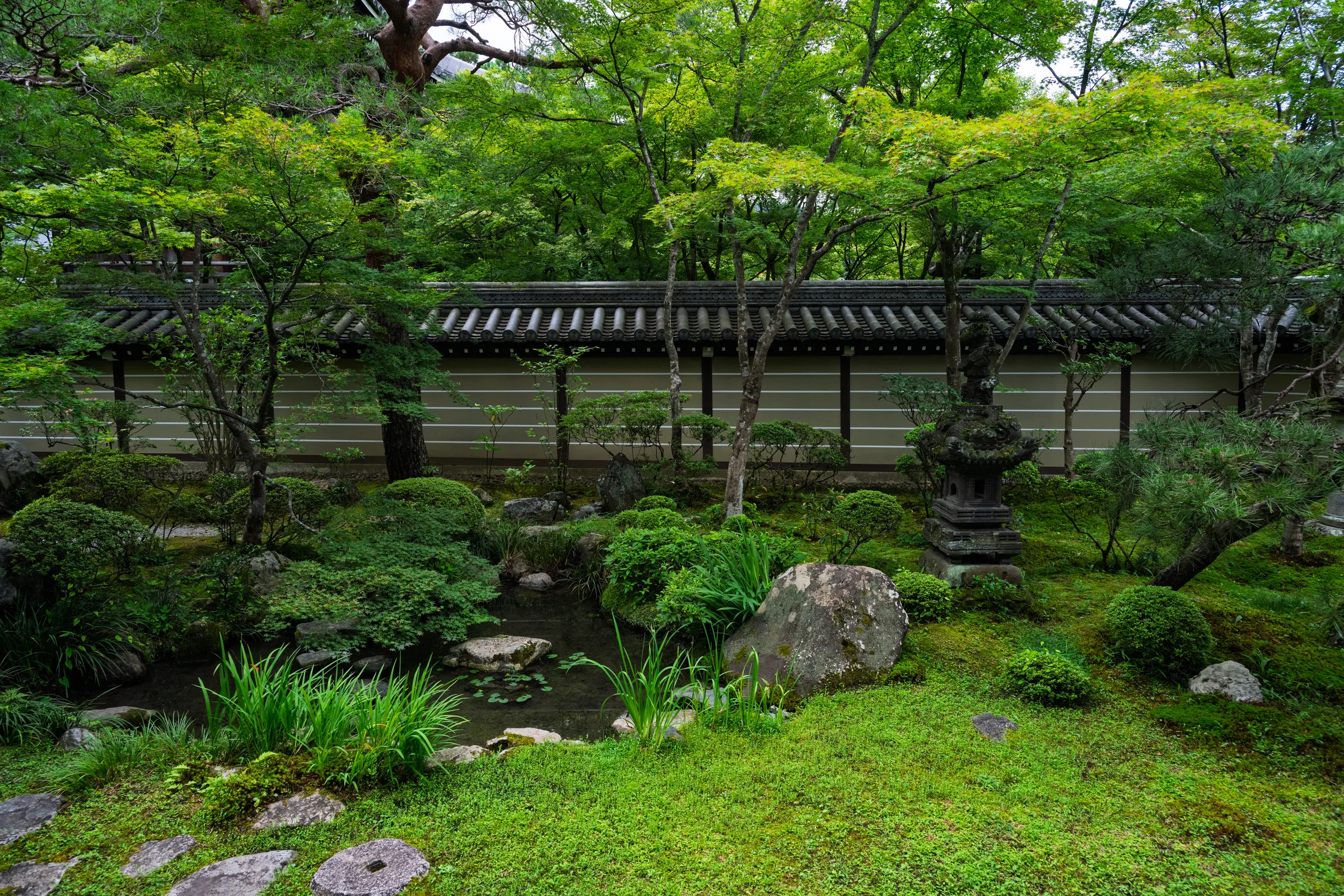 A moss-green temple garden with a stone lantern, rocks, and tiled wall beneath maple trees