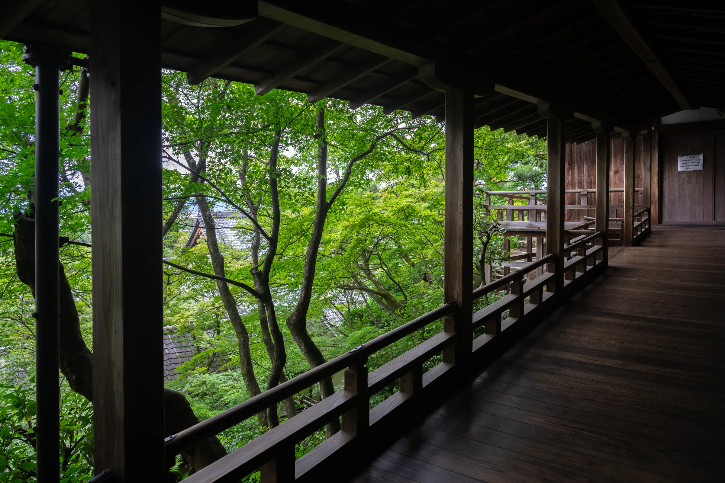 A wooden temple corridor opening onto vivid green maple leaves