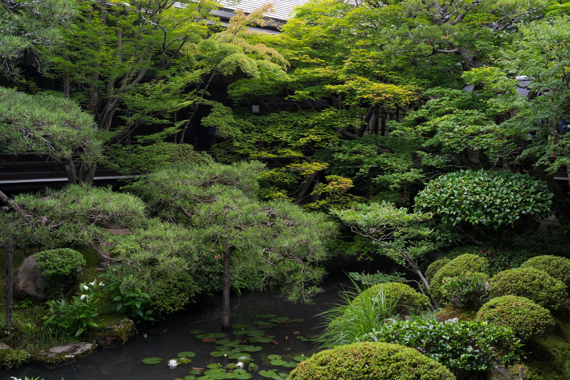 A dense summer garden of clipped shrubs, moss, and pond beneath layered trees