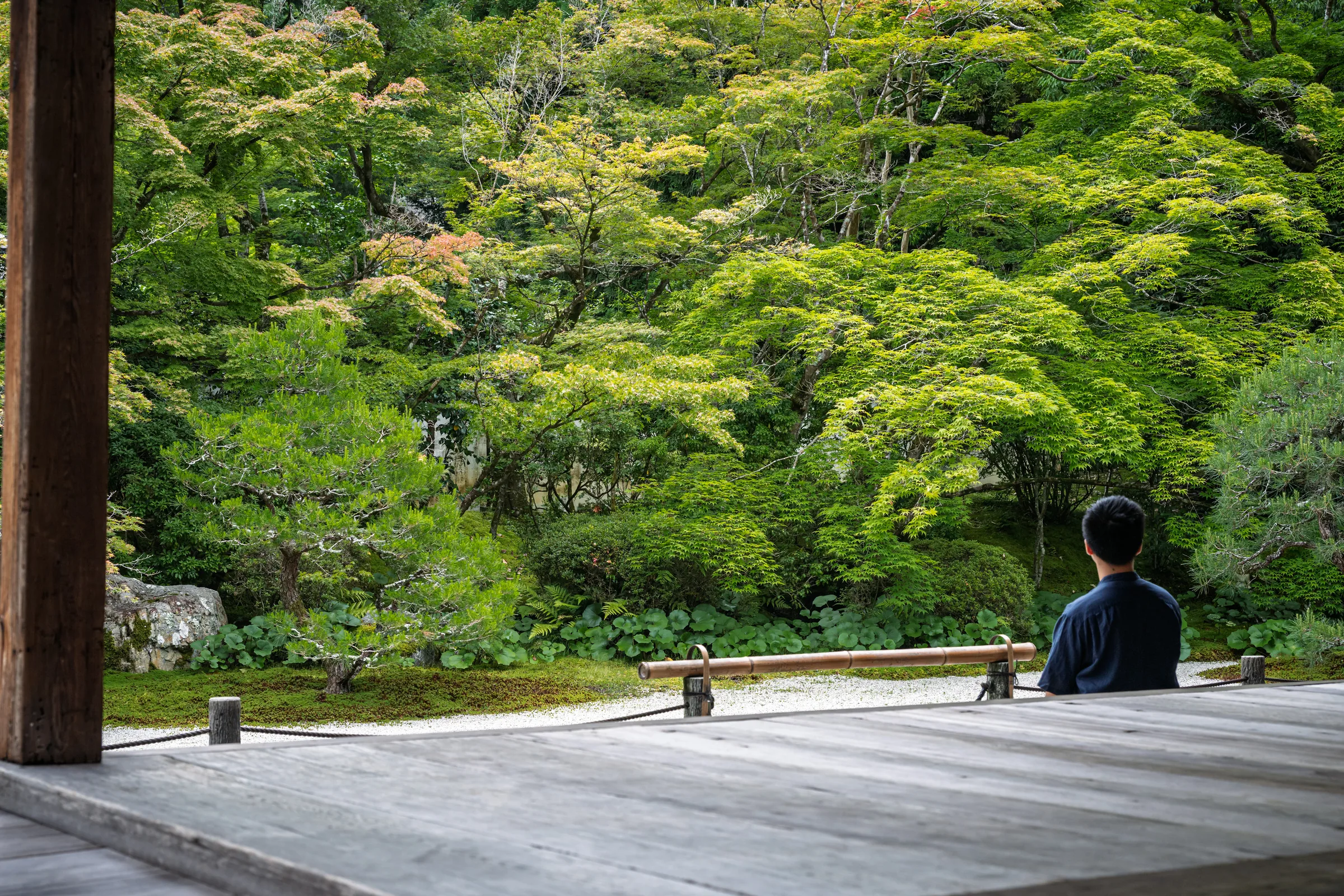 A visitor seated at the edge of a veranda facing a dense green garden