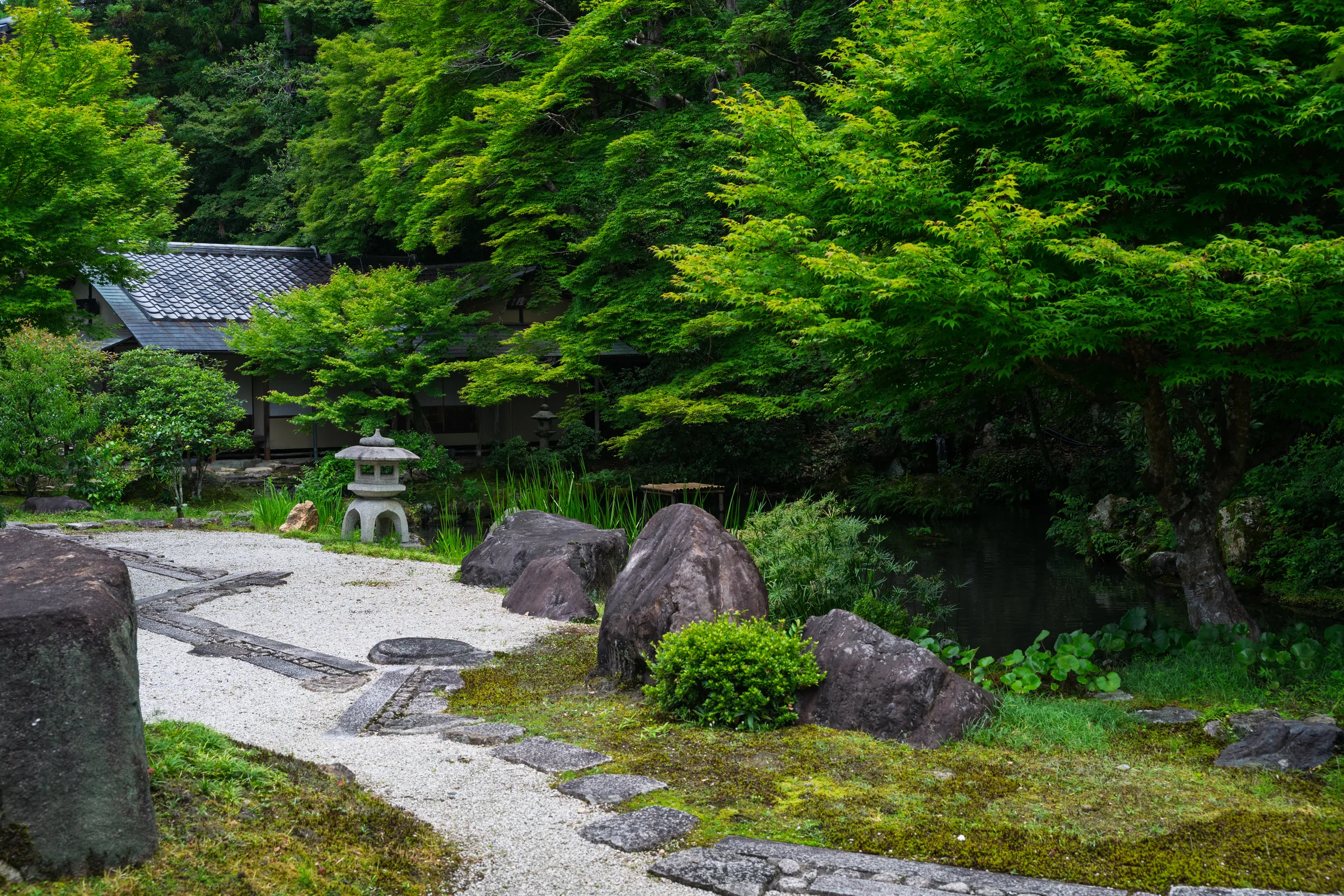 A raked gravel garden with rocks, moss, and a stone lantern beneath dense trees