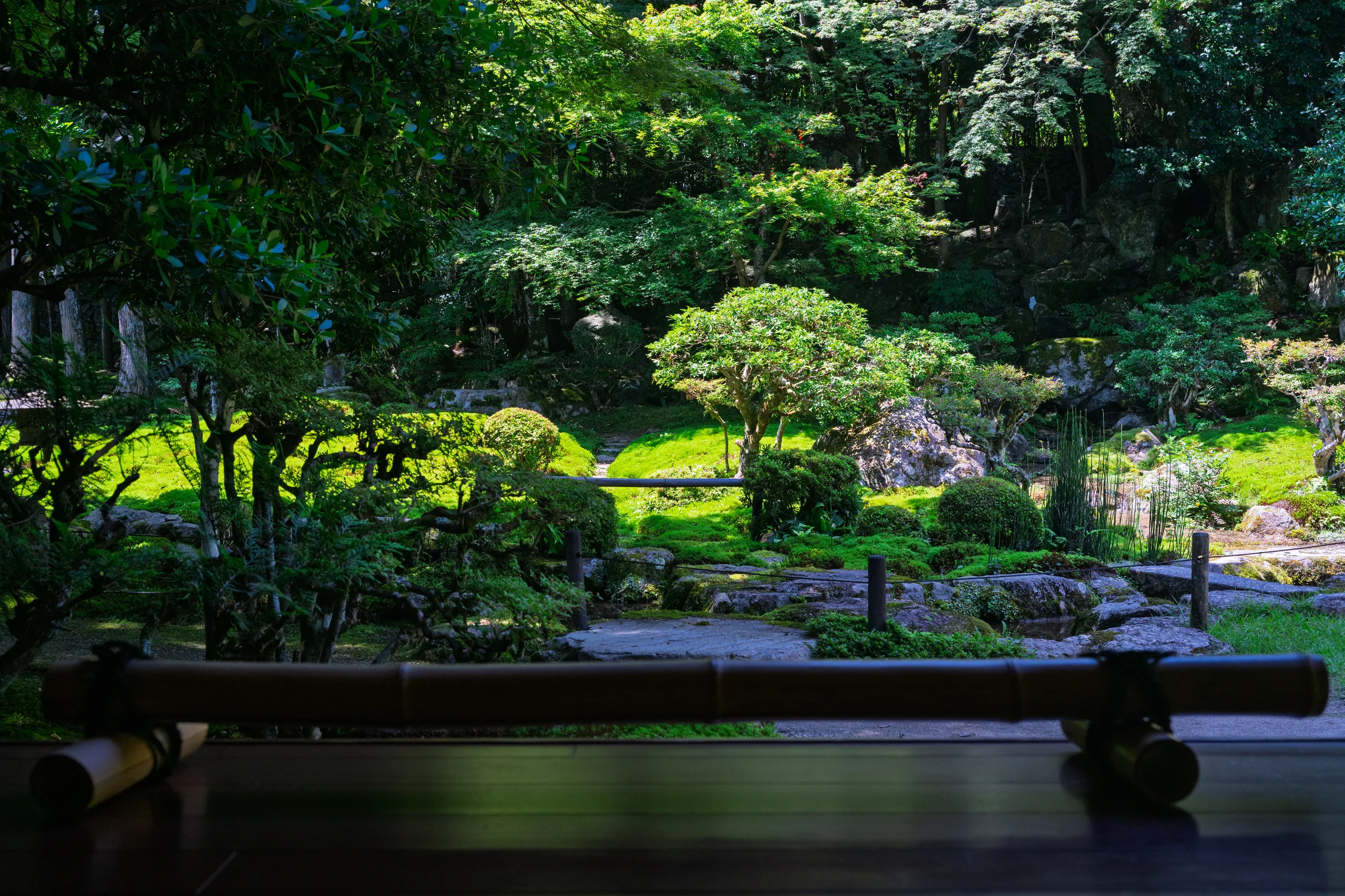 A sunlit garden seen across a low bamboo rail from a shaded veranda