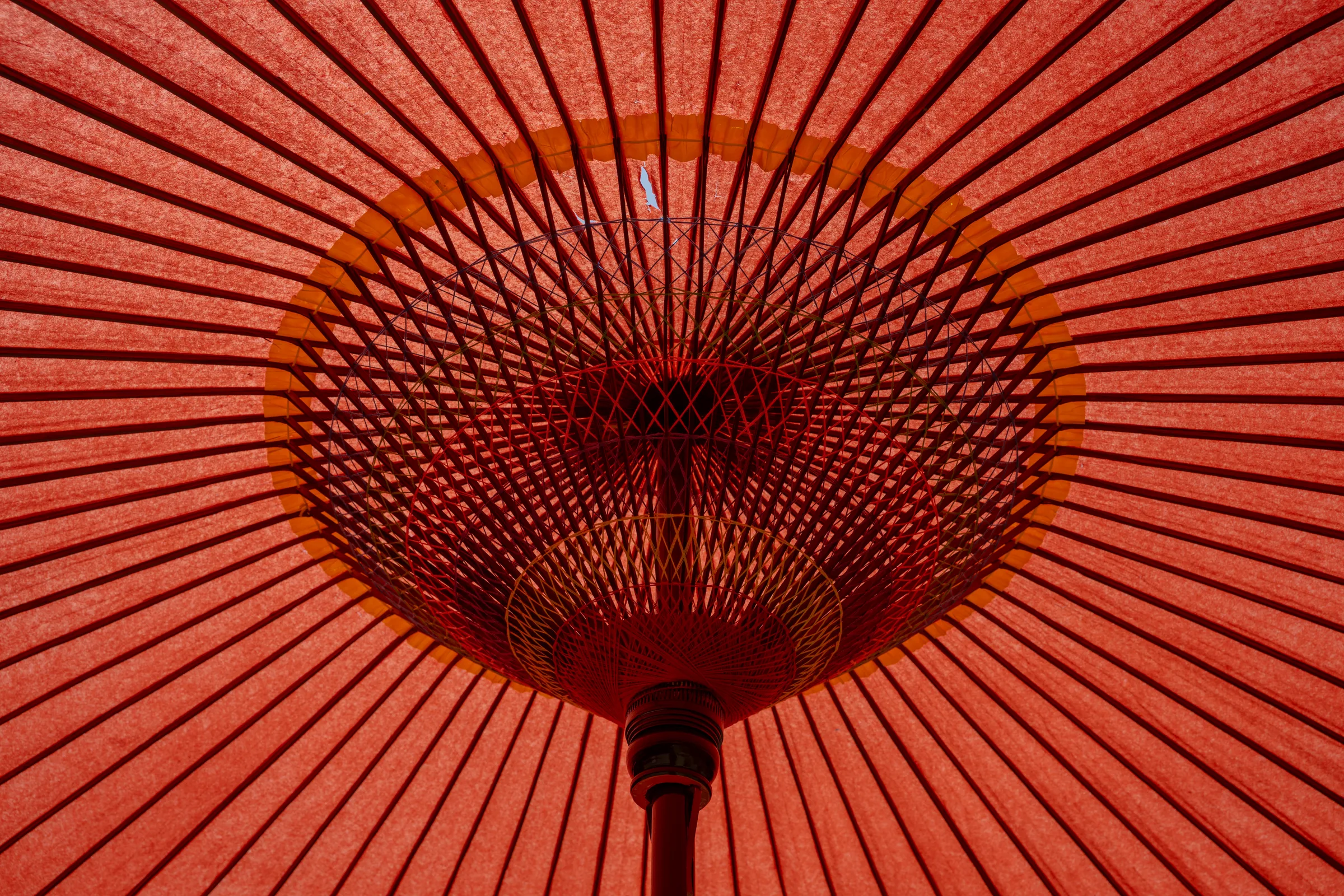 The geometric bamboo ribs and red paper underside of a Japanese parasol