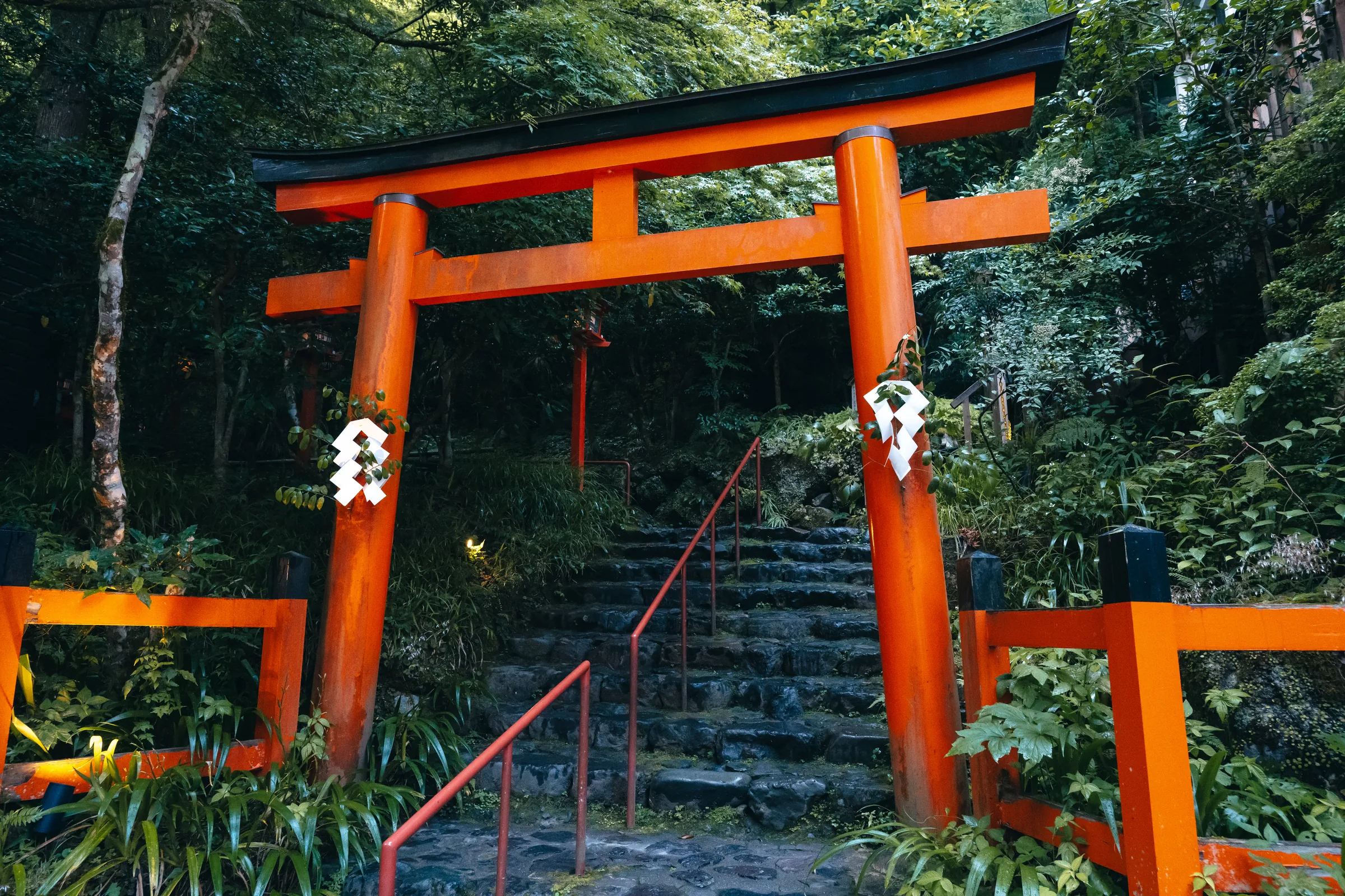 A bright vermilion torii framing wet stone steps rising into dense green foliage