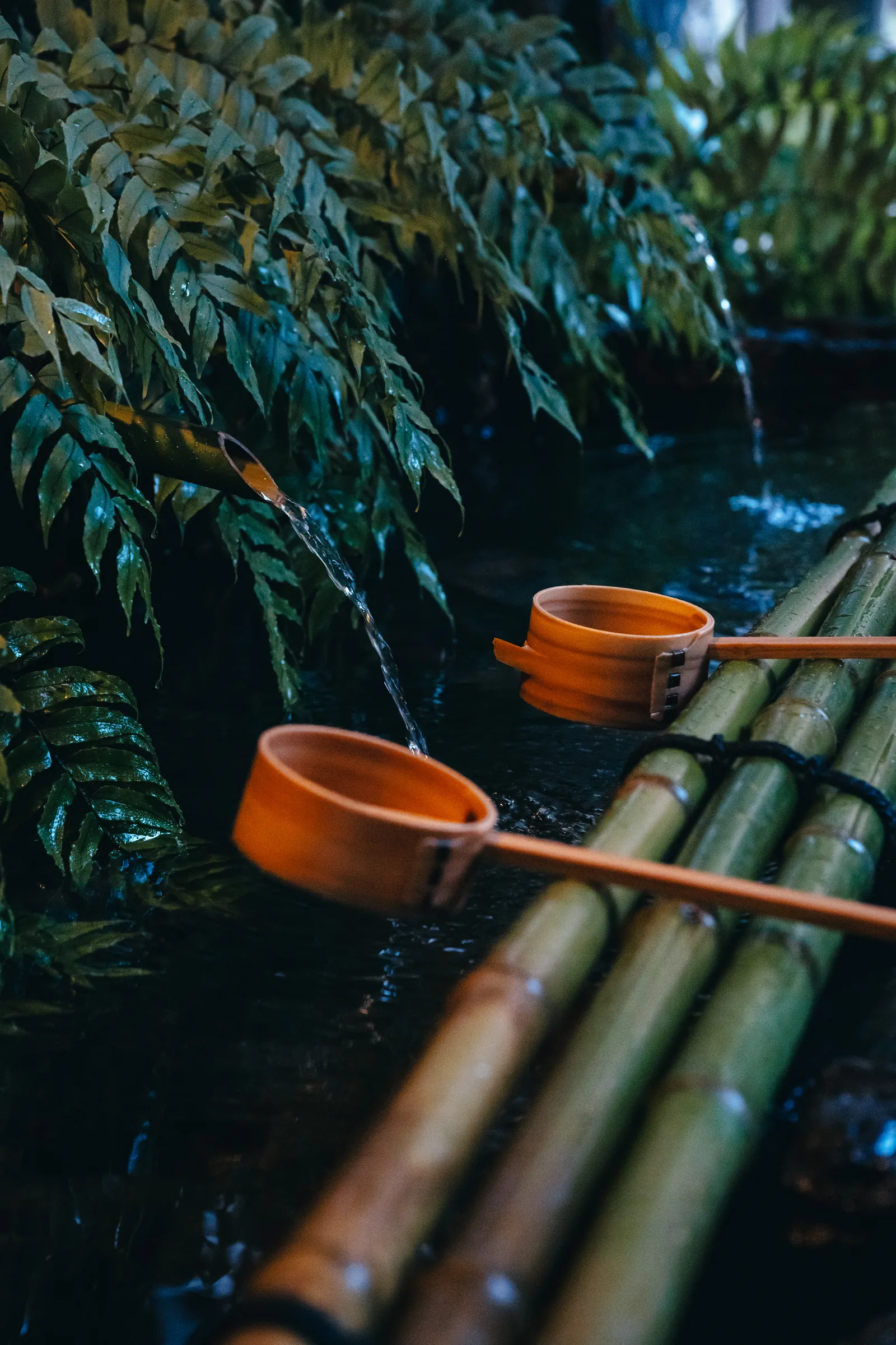 Wooden purification ladles resting on bamboo beside water flowing from a bamboo spout