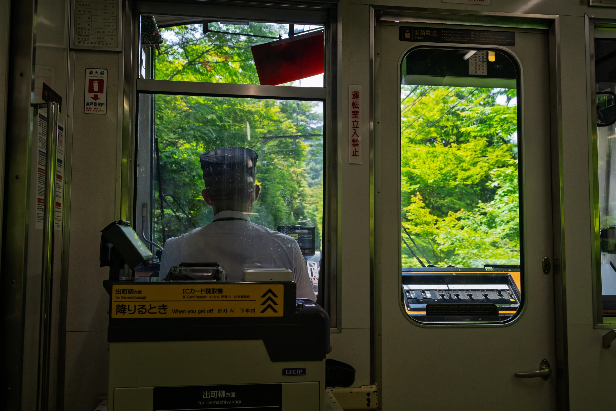 A train operator seen from behind in the cab with dense green forest framed by the windows